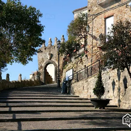 M & M אגרופולי